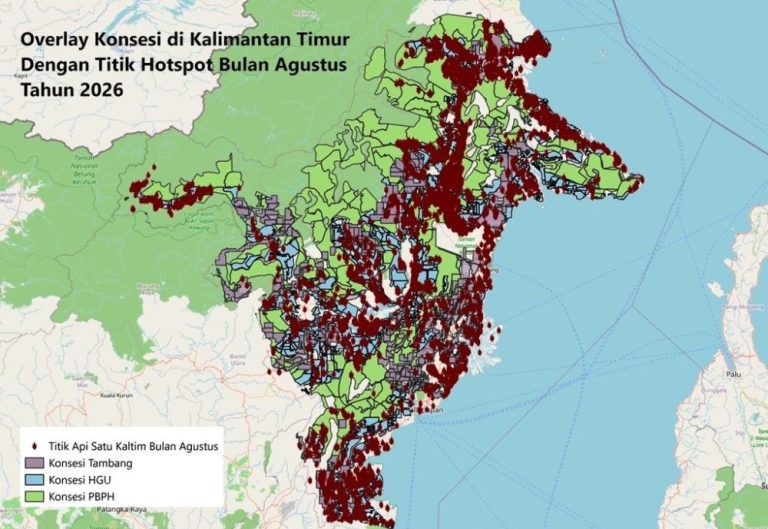 13.475 Titik Panas di Lahan Izin, Walhi Tantang Negara Berani Tindak Tegas Korporasi di Balik Karhutla