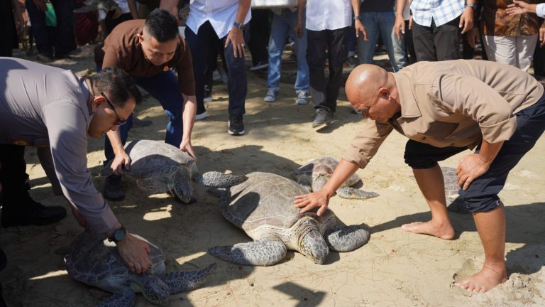 Ajak Jaga Kelestarian Alam, Gubernur Gusnar dan Jamintel Reda Lepas Satwa di Pantai Bolihutuo