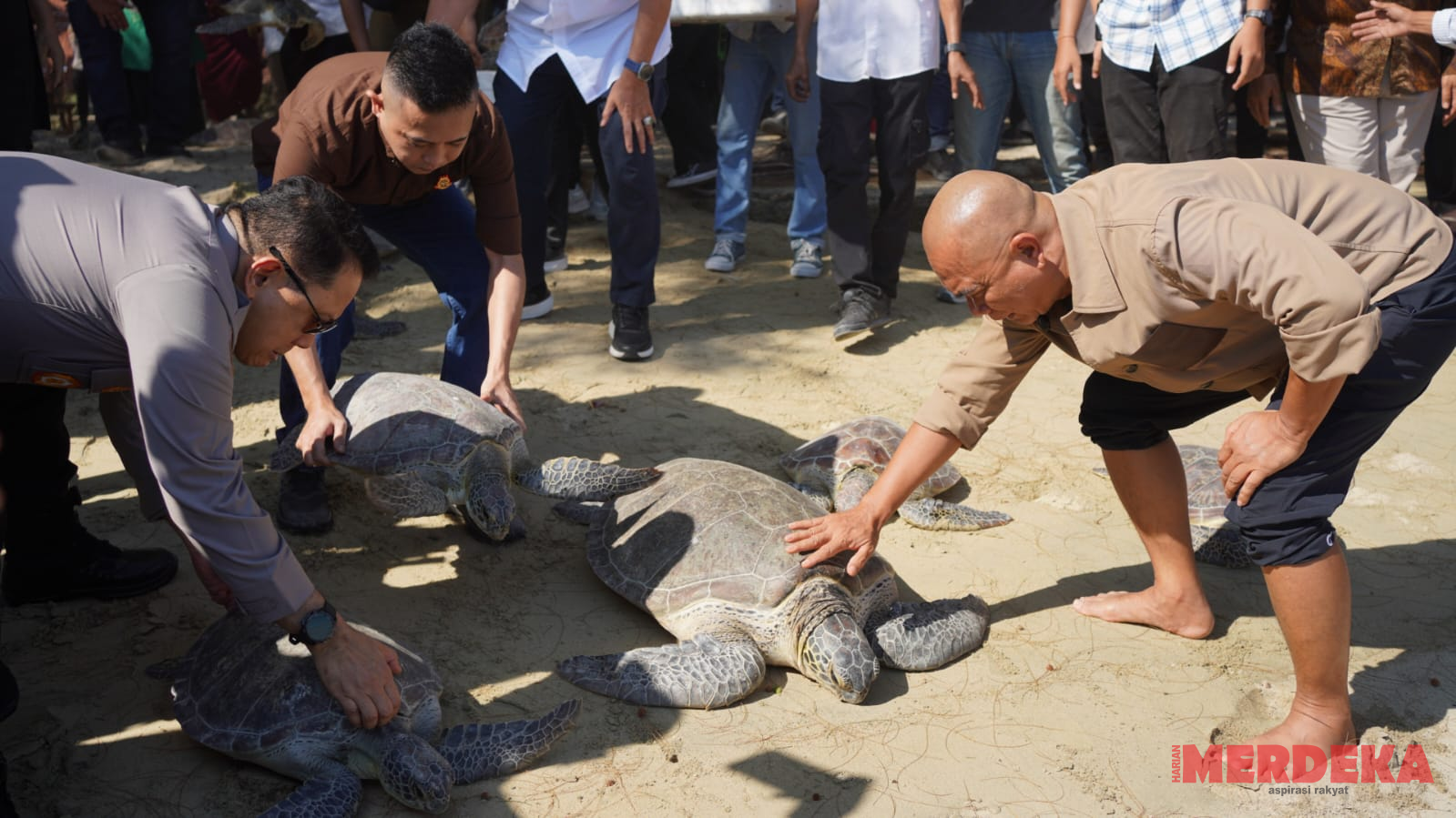 Ajak Jaga Kelestarian Alam, Gubernur Gusnar dan Jamintel Reda Lepas Satwa di Pantai Bolihutuo