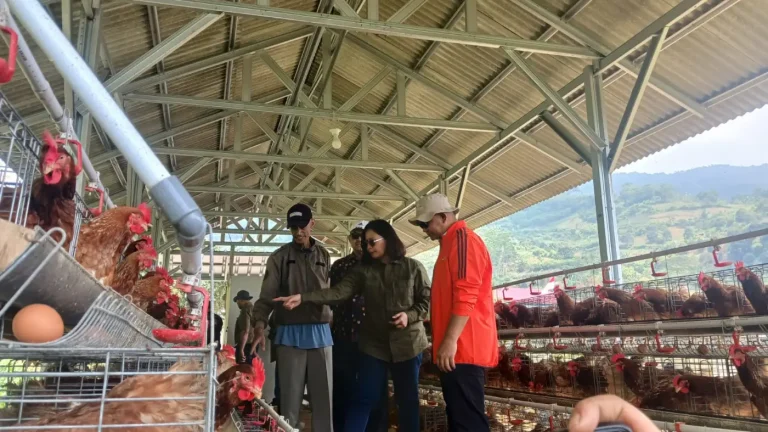 Ubah Eks HGU Jadi Lahan Produktif, Bank Tanah Berdayakan Warga Cianjur
