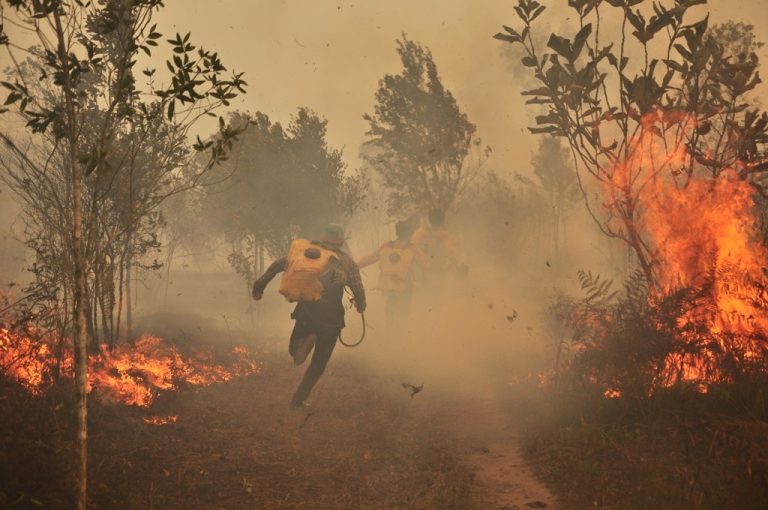 Titik Panas Menumpuk di Lahan Tambang hingga Sawit, Walhi Pertanyakan Ketegasan Negara