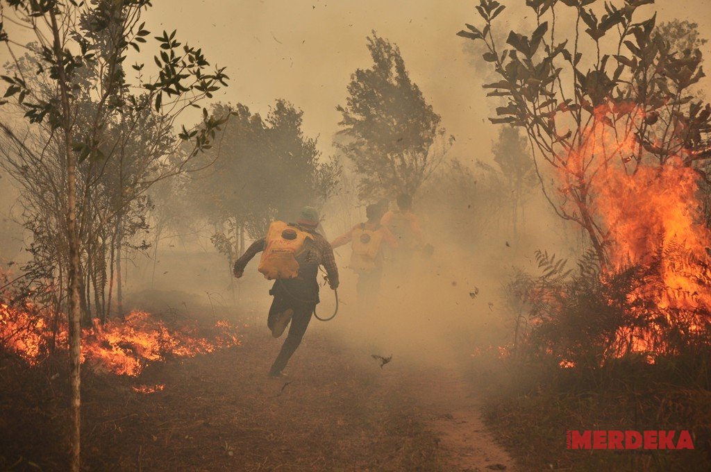 Titik Panas Menumpuk di Lahan Tambang hingga Sawit, Walhi Pertanyakan Ketegasan Negara
