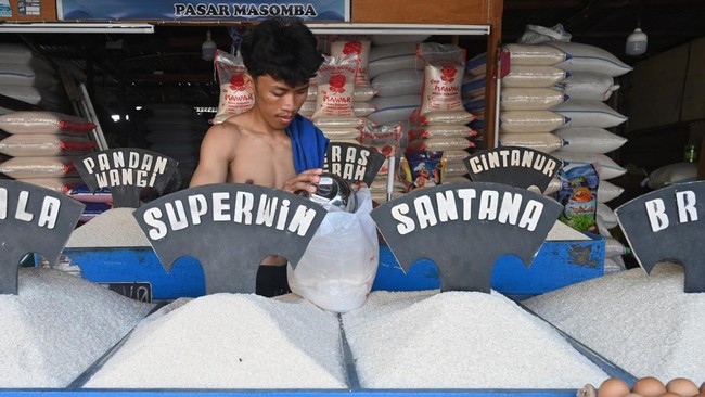 Harga Beras Masih Mahal, Pengamat Ungkap Masalah Distribusi