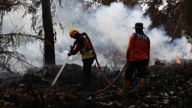 Bupati Ketapang Minta Perusahaan Bantu Padamkan Karhutla di Luar Wilayah Operasional