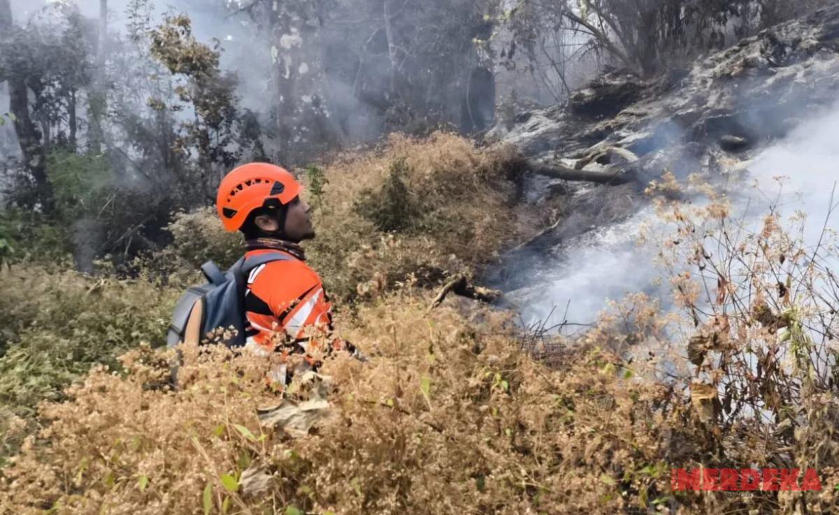 Perhutani Nyatakan Kebakaran Gunung Butak Padam, 15 Hektare Lahan Terdampak