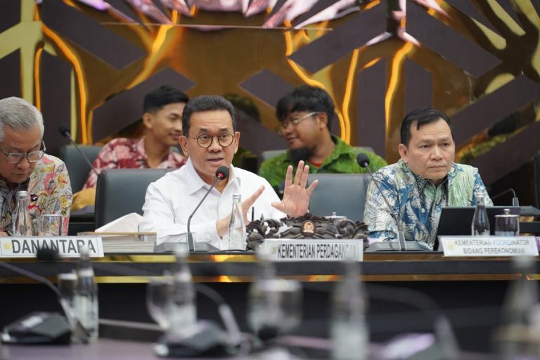 Mendag Minta RUU Komoditas Strategis Tak Kaku, DMO Jangan Dipukul Rata