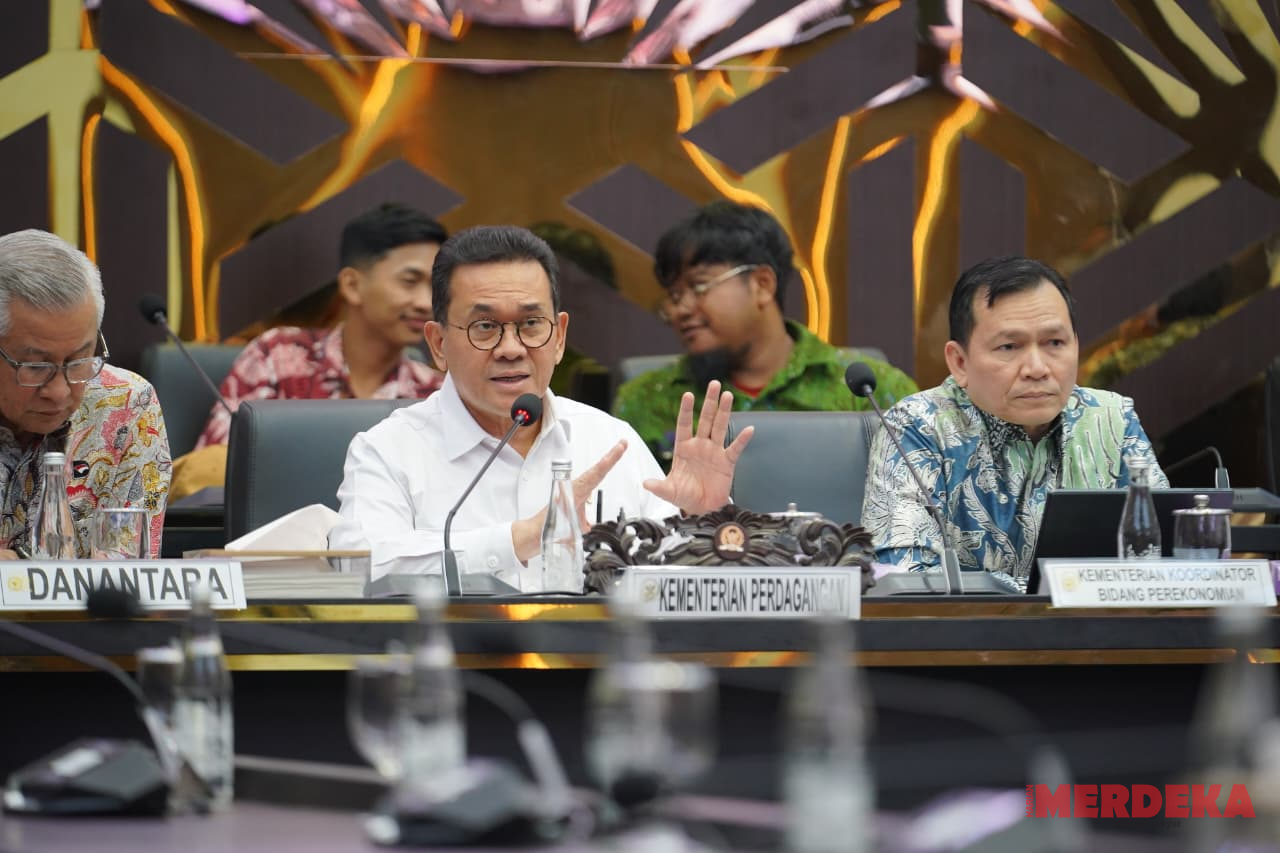 Mendag Minta RUU Komoditas Strategis Tak Kaku, DMO Jangan Dipukul Rata