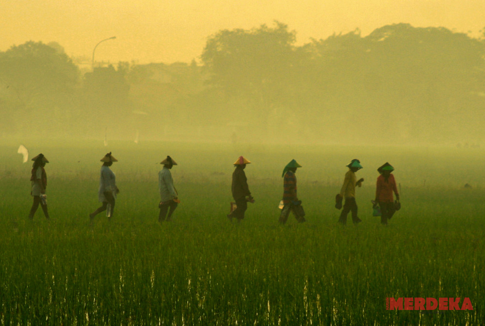 Selangkah Lagi Disahkan, RUU Reforma Agraria Jadi Kado Hari Tani Nasional