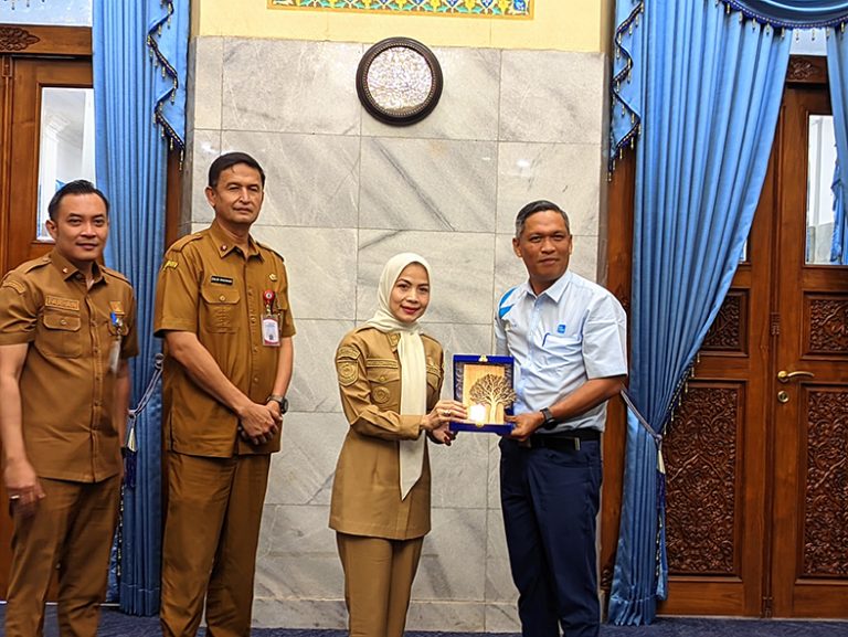 PLN dan Pemkab Serang Rencanakan Pembangunan PLTS di Pulau Tunda 2027