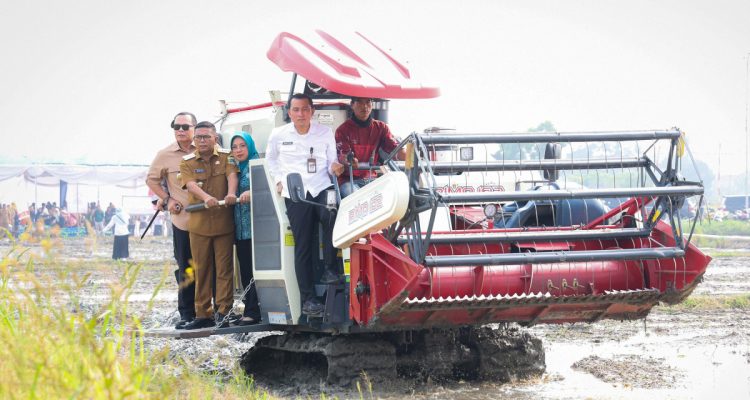 Andra Soni Dorong Modernisasi Pertanian, Produktivitas Padi Capai 12,88 Ton per Hektare