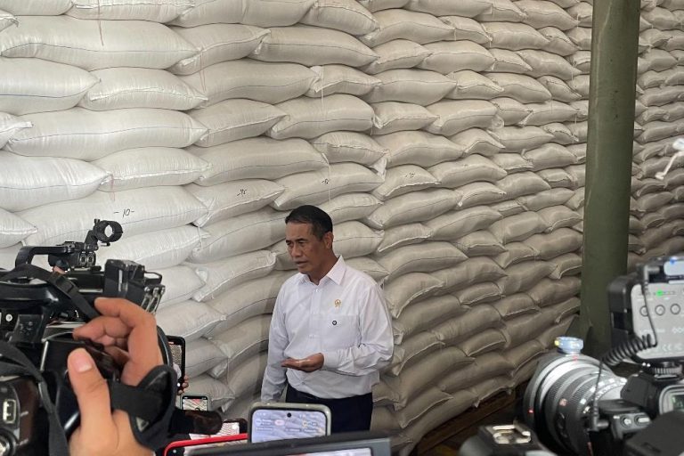 Amran Ungkap Dugaan Praktik Curang Beras Fortifikasi, Potensi Kerugian Rp89 Triliun