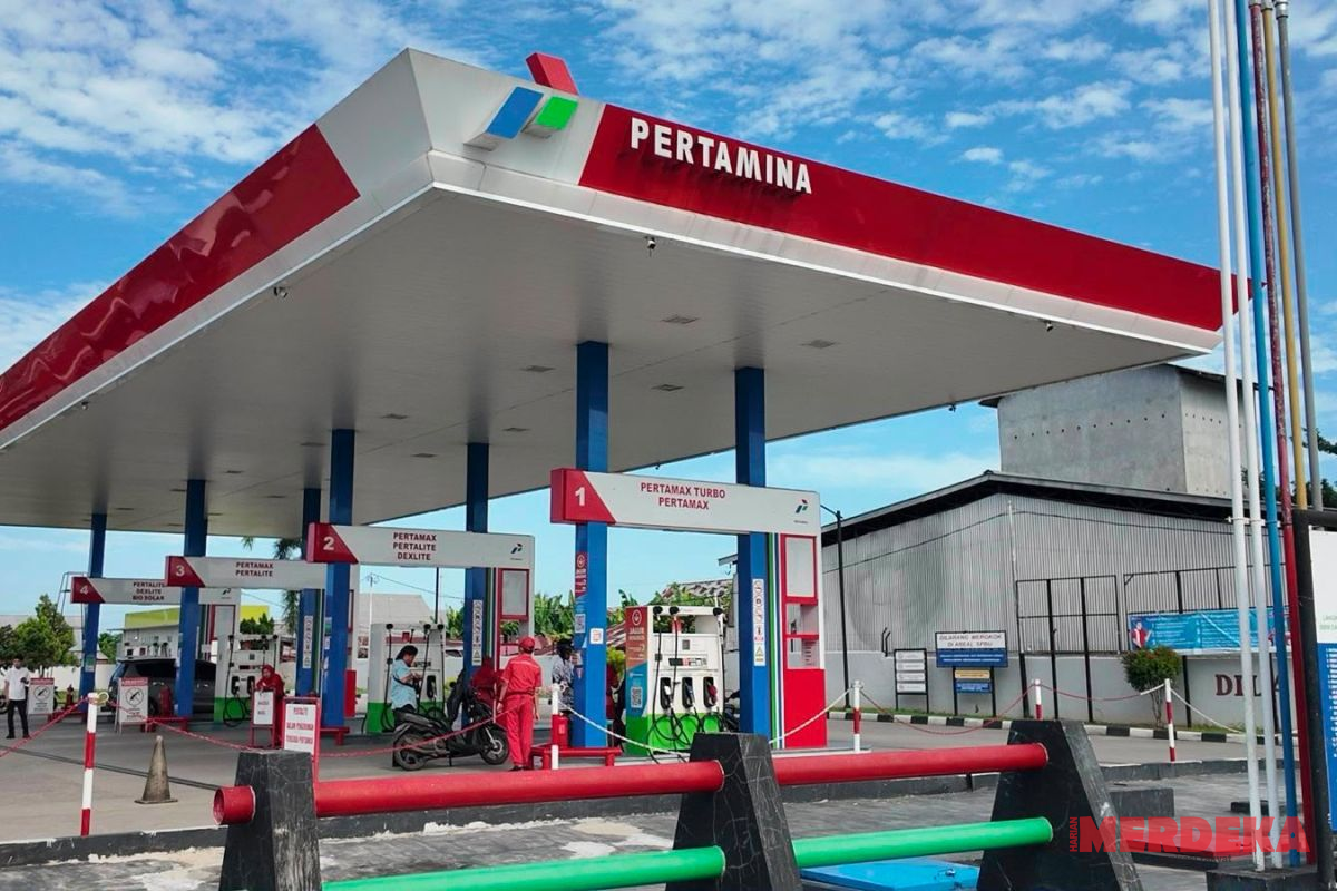 BBM Langka di Bali, LBH Peradi Profesional Desak Copot Dirut Pertamina